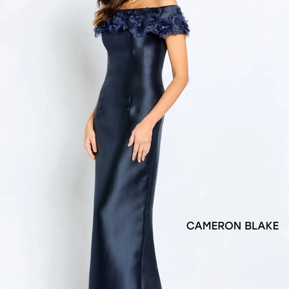 Mother of the Bride Dress - Picture 1 of 4